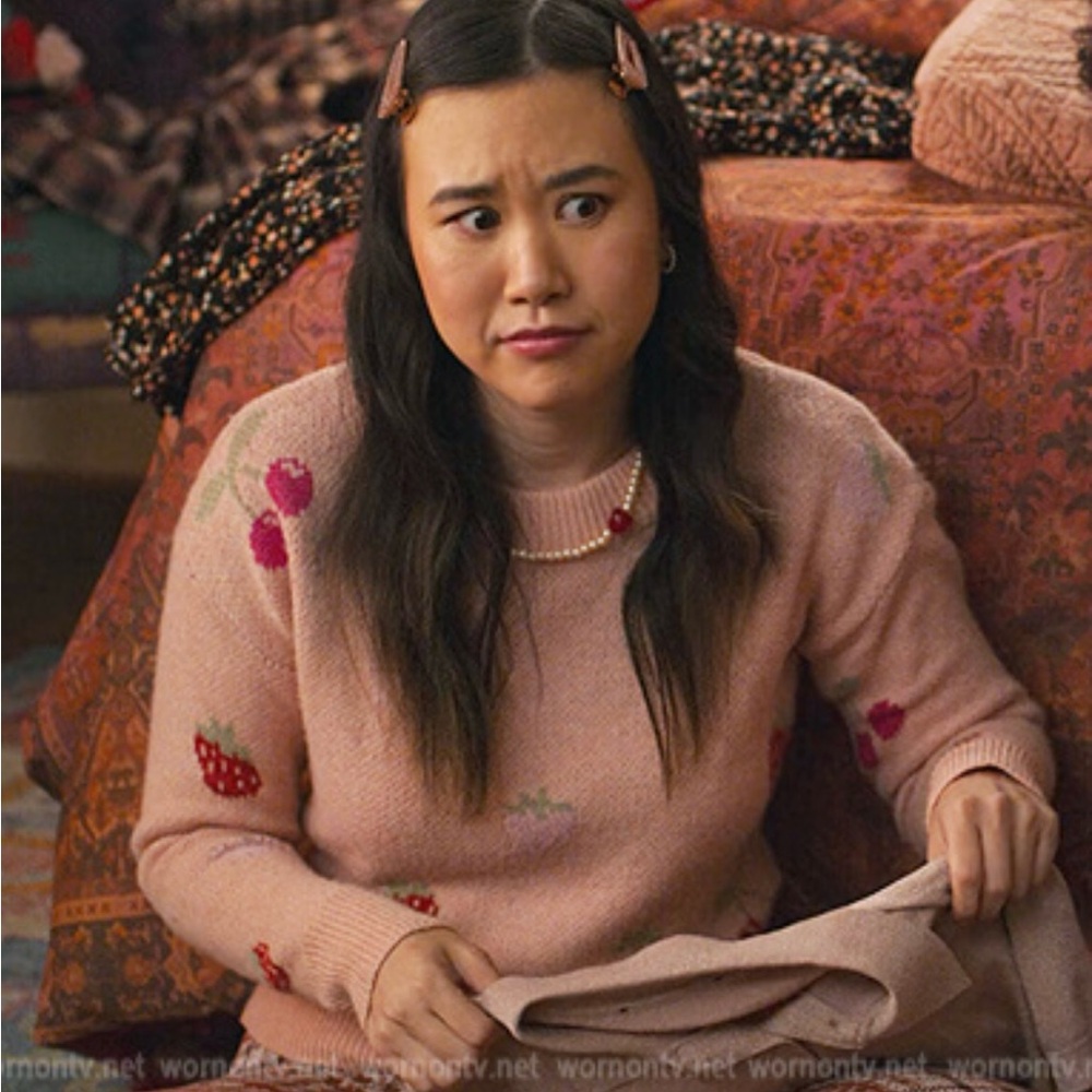 Wild Fable Pink Crew Neck Fruit Embroidered Sweater